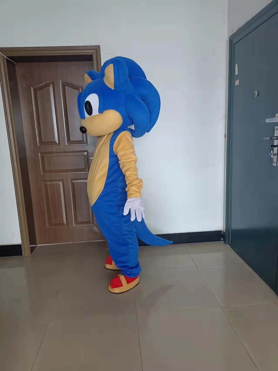 Sonic the Hedgehog